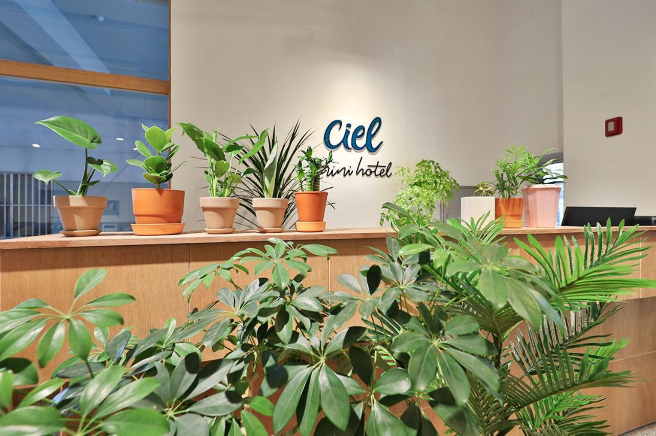 Ciel Mini Hotel Gyeongju Exterior photo